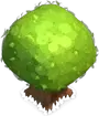 Medium Tree